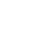 Ban Idiots, Not Guns - Roadkill T-Shirts