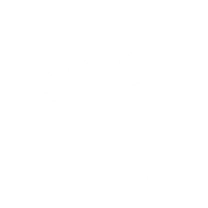 Skull Bones Pirate with Hat Mens Tee - Roadkill T-Shirts