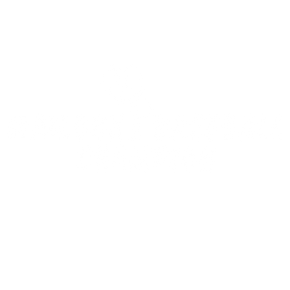 Funny T-Shirts design "Mailbox Baseball Champion Tee"