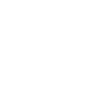 United States In God We Trust - Roadkill T-Shirts